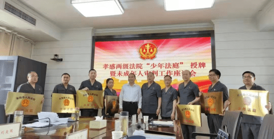 少审庭专题稿件：加强未成年人权益保护393.png