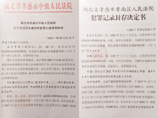 少审庭专题稿件：加强未成年人权益保护649.png