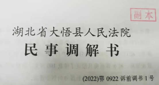 2.18全市法院积极行动，诉前调书、诉前调确、电子送达文书纷纷破蛋341.png