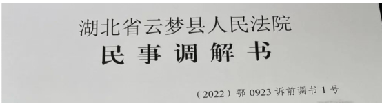 2.18全市法院积极行动，诉前调书、诉前调确、电子送达文书纷纷破蛋530.png