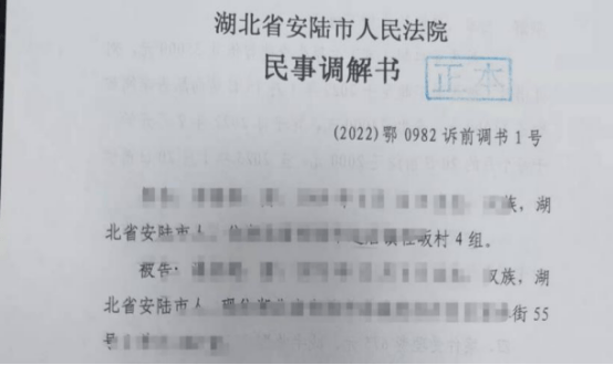 2.18全市法院积极行动，诉前调书、诉前调确、电子送达文书纷纷破蛋581.png