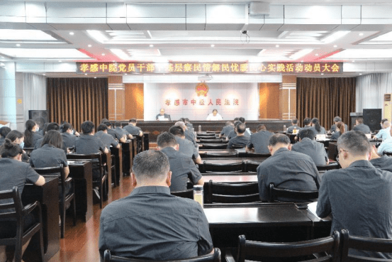孝感中院召开党员干部下基层察民情解民忧暖民心实践活动动员大会115.png
