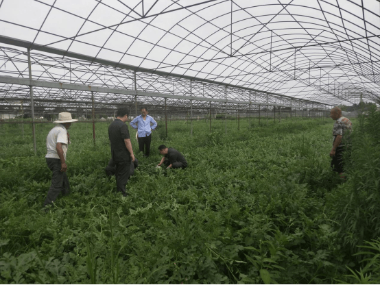 法官主动调解“涉农”纠纷   现场以案释法说“典”152.png