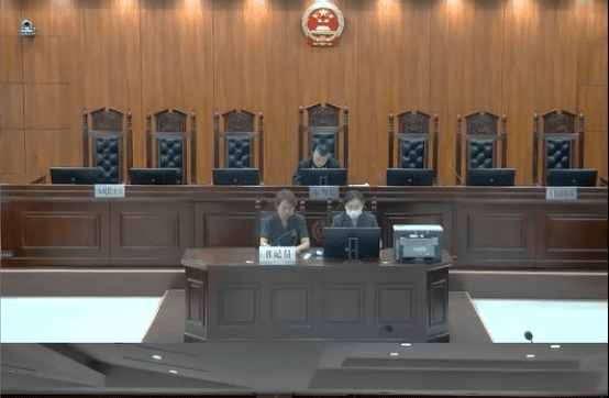 20220909应城：【打击整治养老诈骗】应城法院公开宣判一起“特效苗药”养老诈骗案107.png