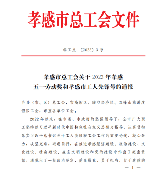 （4.27）大悟法院江丽法官荣获“孝感市五一劳动奖章”99.png